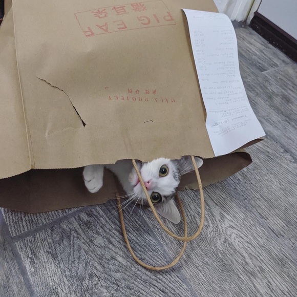 Meet your Posher, Yelle - Picture 8 of 9